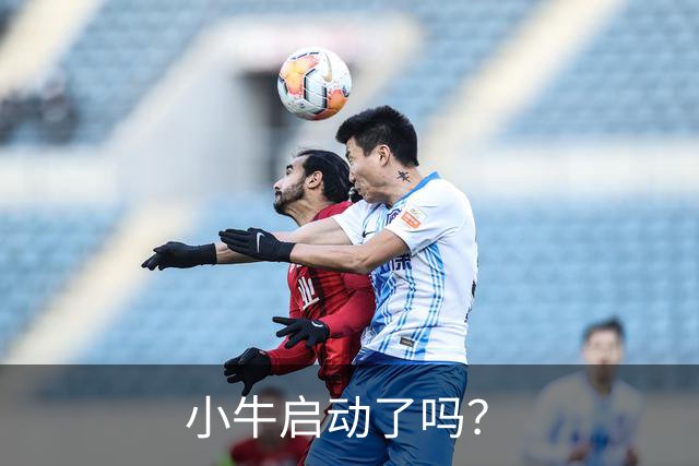 小牛启动了吗？